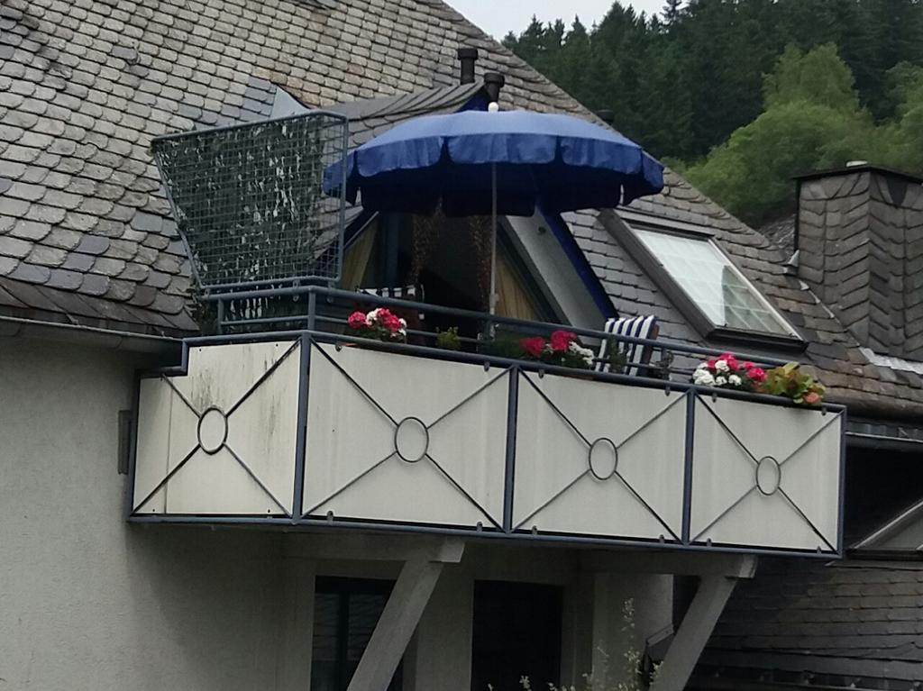 Ferienwohnung Haus Elsholz Willingen Willingen  Exterior foto